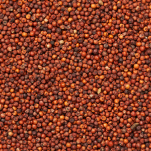 Ragi (Finger Millet)